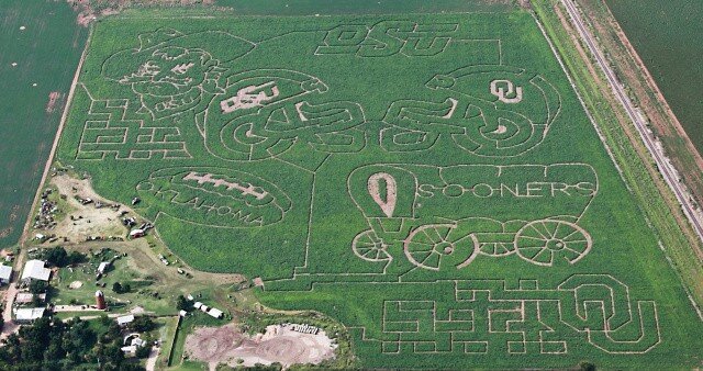 Reding Corn Maze in Chickasha